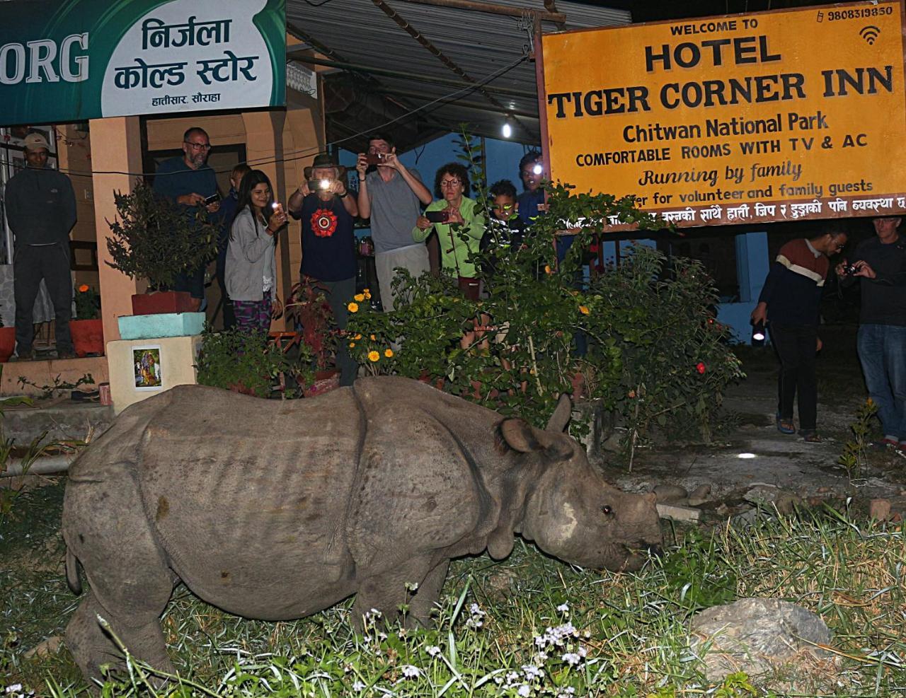 Tiger Corner Inn Homestay Sauraha Exterior foto